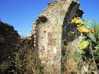 n Michele Forza Agro-31-08-2015 09-14-56
